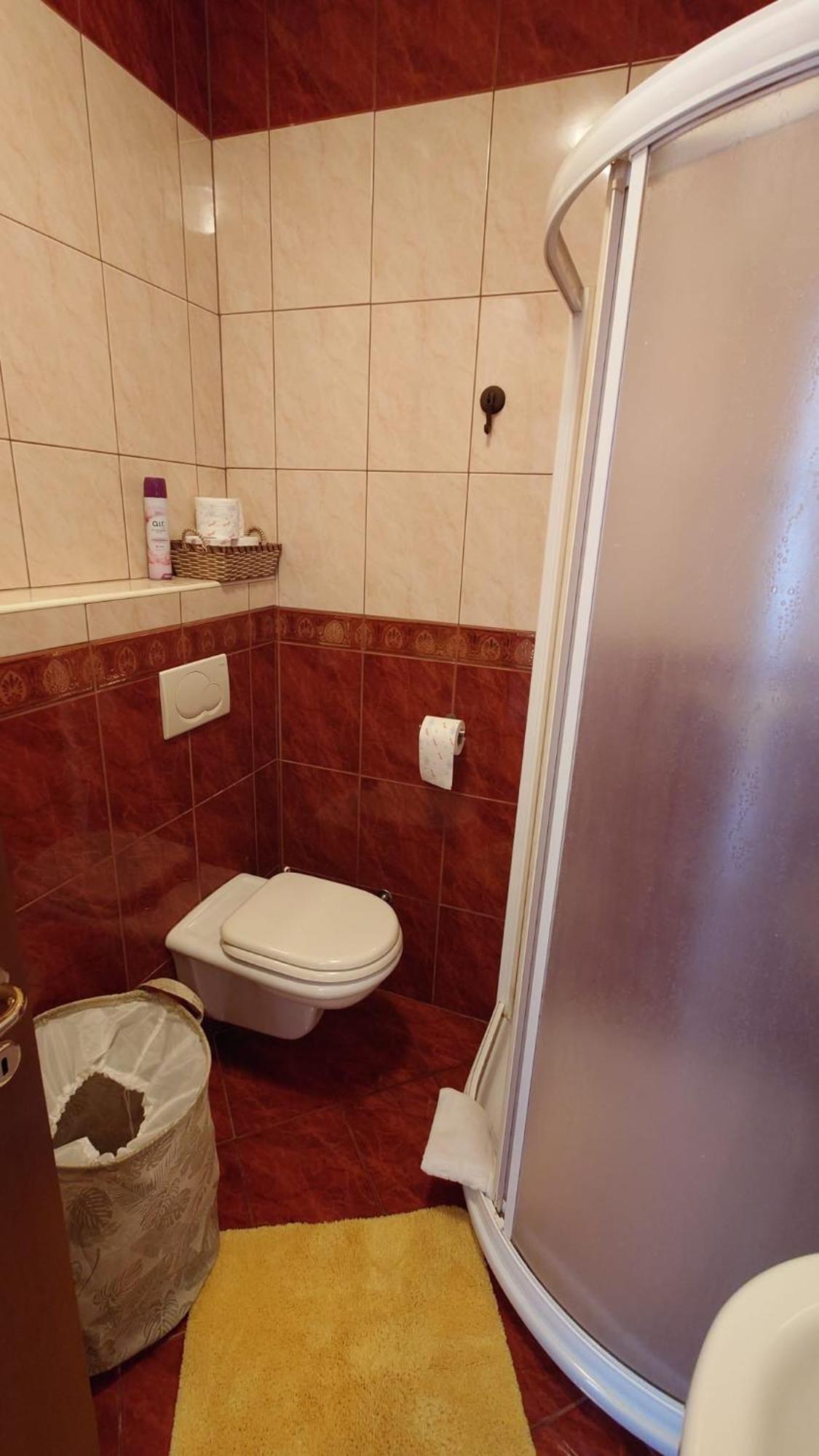 Apartments Lola ロヴィニ 部屋 写真